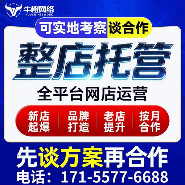 许昌电商代运营
