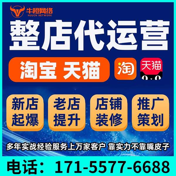 许昌电商代运营