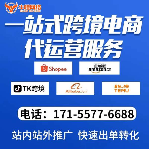 许昌电商代运营