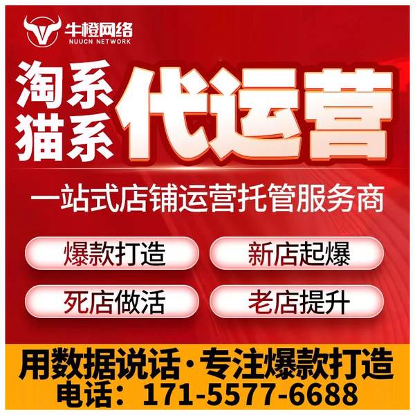 许昌电商代运营